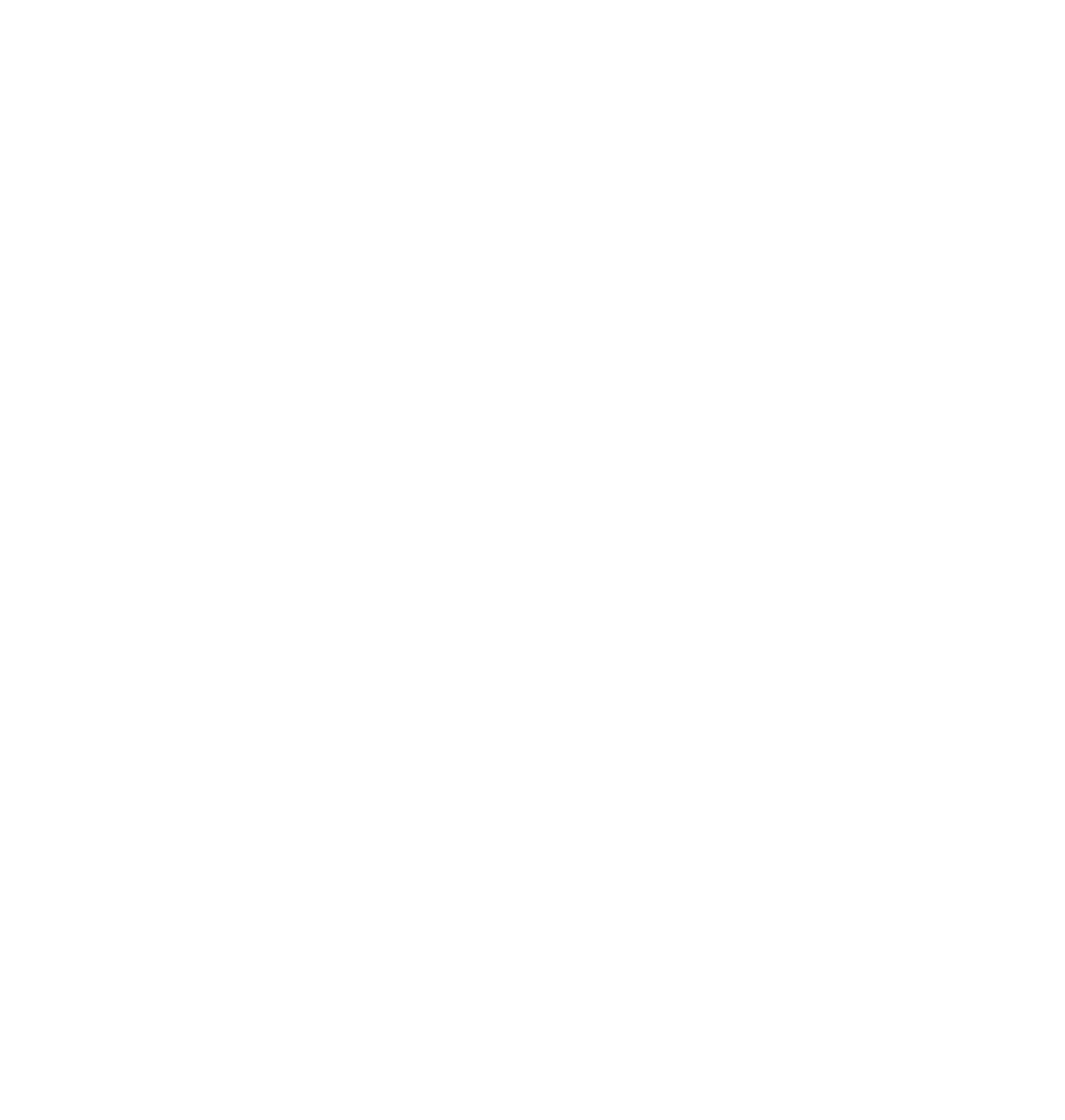 logo light