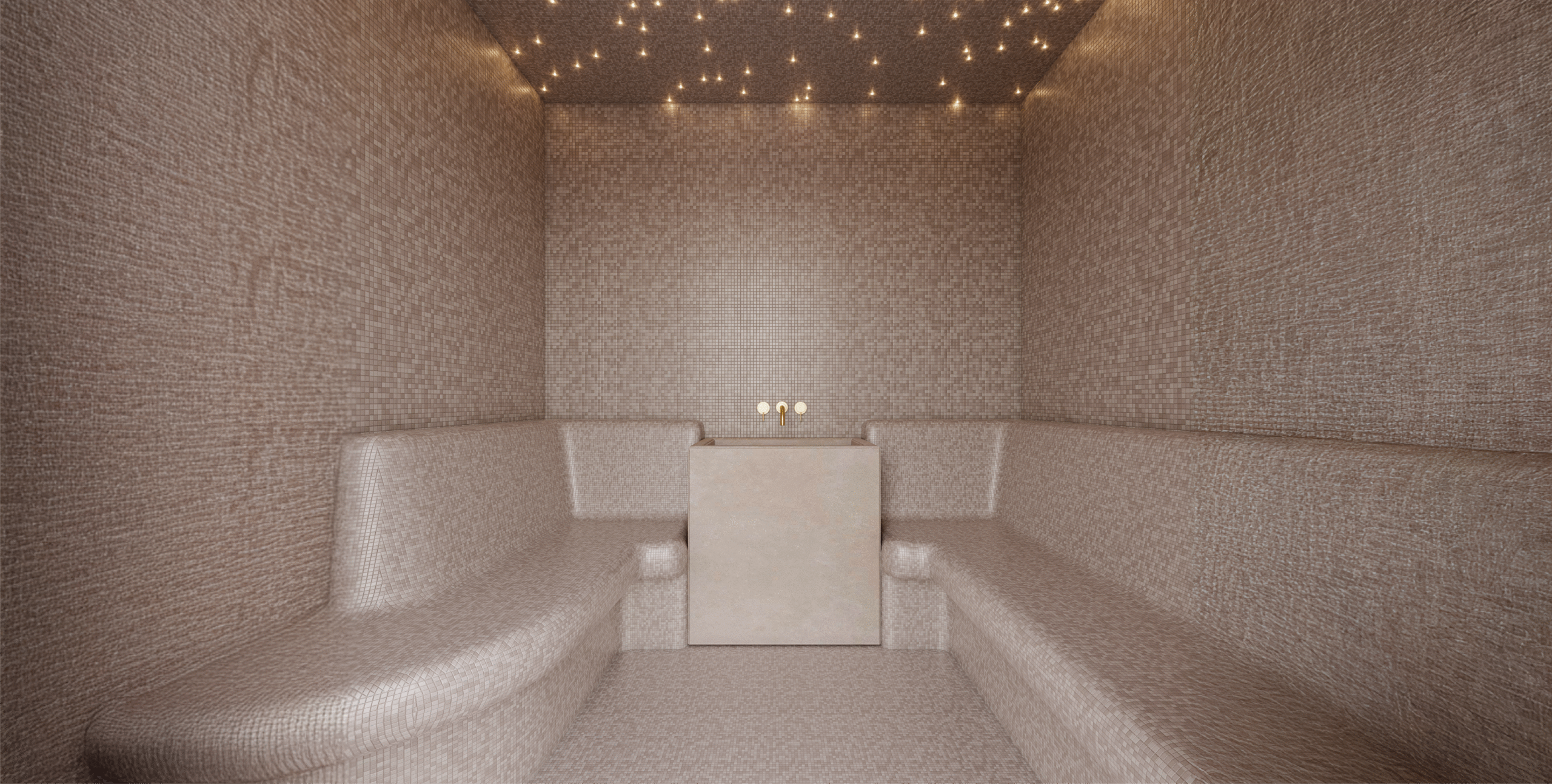 STEAM AND SAUNA
